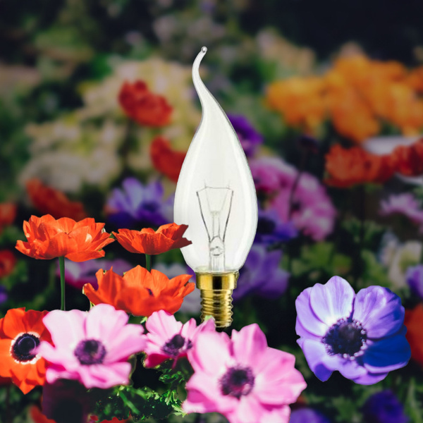 Żarówka Philips Dekoracyjna Świeca 15W E14 100lm