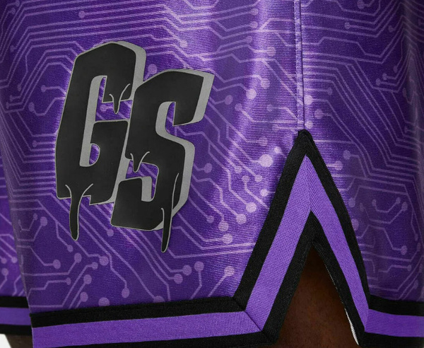 Fioletowe Męskie Spodenki Nike LeBron Goon Squad M DJ3875-560