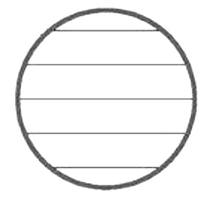 Pigna Notatnik A5 Koralowy Monocromo 80 Kartek