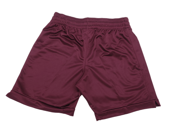 Spodenki Damskie Nike Air Jordan Practice Treningowe Bordowe S AT0538-669