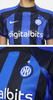 Damska Koszulka Nike Inter Mediolan 2022/23 Stadium Home DJ7775412 RTV S