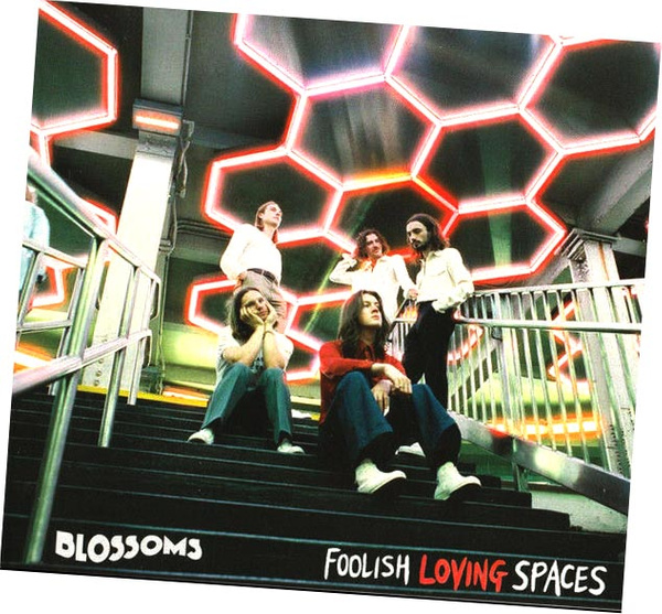 BLOSSOMS  FOOLISH LOVING SPACES cd