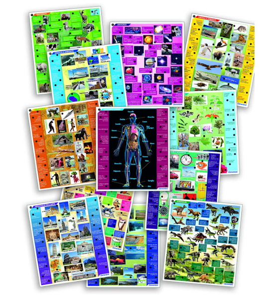 Sapientino Encyklopedia Interaktywna Język Włoski 24 Karty