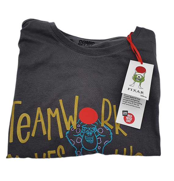 Koszulka  Disney T-shirt Szara Suley & Mike M