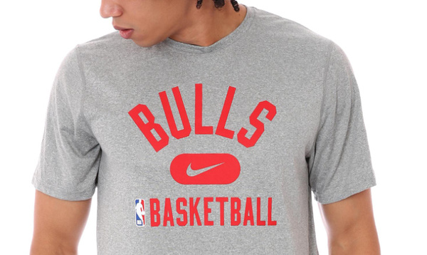 Nike NBA Bulls Koszulka Męska L Szara