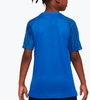 Koszulka Nike Dri-fit Academy DH8369-464 147-158 L