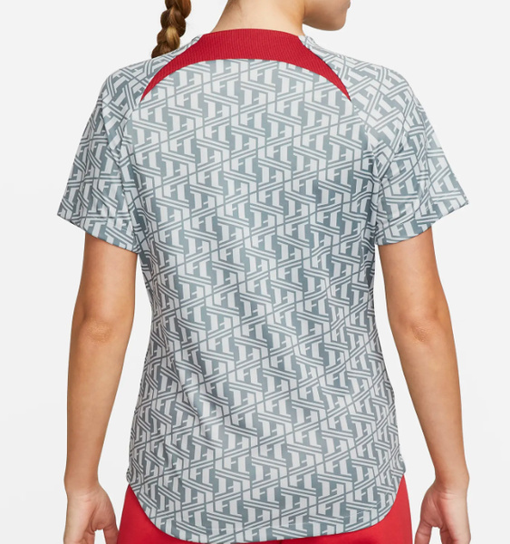 Damska Koszulka Nike Liverpool PreMatch DR4912-013 S Szara