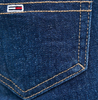 Niebieskie Jeansy Męskie Tommy Jeans Austin Slim DM0DM12520 33/34