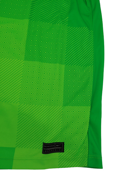 Zielona Dziecięca Koszulka Bramkarska Nike Galatasaray DH2297330 XS