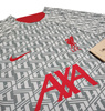 Damska Koszulka Nike Liverpool PreMatch DR4912-013 S Szara