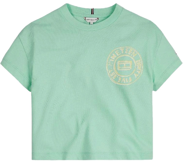 KOSZULKA  TOMMY HILFIGER BACK PRINT KG0KG06303 r128